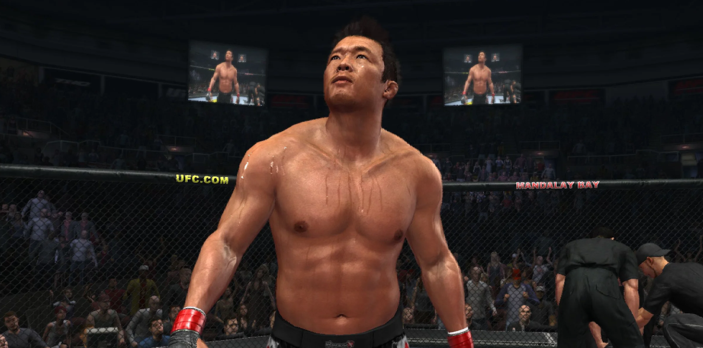 JOGO PS3 UFC UNDISPUTED 2010 (SEMINOVO)