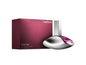 PERFUME CALVIN KLEIN EUPHORIA EAU DE PARFUM FEMININO 100ML